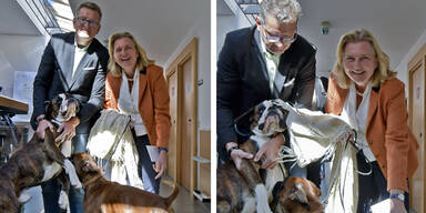 Kneissl Meilinger Hunde