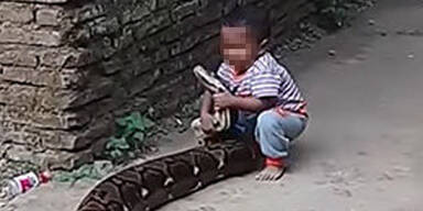 Kleinkind spielt mit Riesen-Python &ndash; seine Eltern lachen