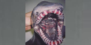 Fischer postet mysteri&ouml;se Kreaturen aus der Tiefsee