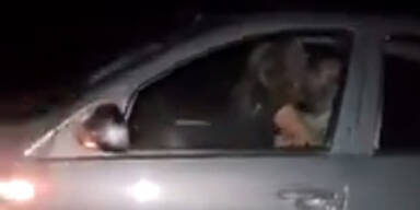 Paar hat Sex w&auml;hrend Autofahrt