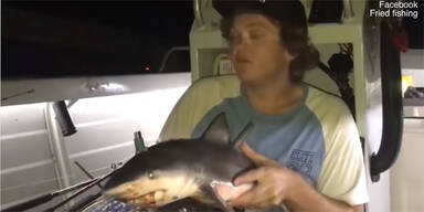 Mann missbrauchte Baby-Hai als Bong