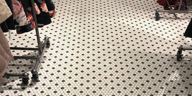 Dieses Foto l&auml;sst das Netz ausflippen