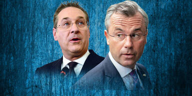 Strache Hofer