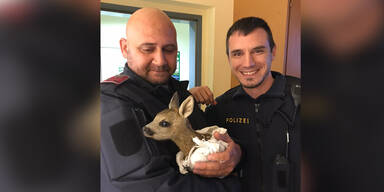 Polizisten retten Rehkitz vor sicherem Tod