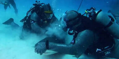 Shark Week Mike Tyson