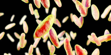 Bakterium aus China-Labor entdeckt