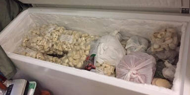 Teigtascherl-Fabrik Wien-Margareten