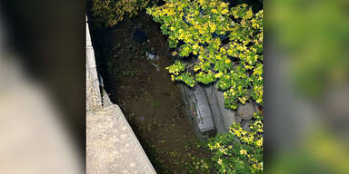 Panzer st&uuml;rzt in Allentsteig ab