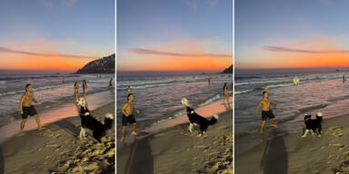 Video von Fu&szlig;ball-Hund geht viral