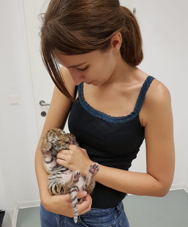 Tigerbabys gerettet: Jetzt spricht die 