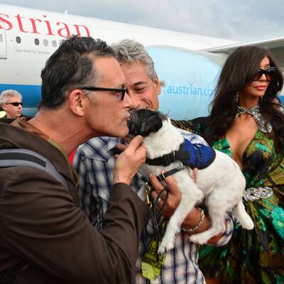 Die Ankunft der Life Ball Stars