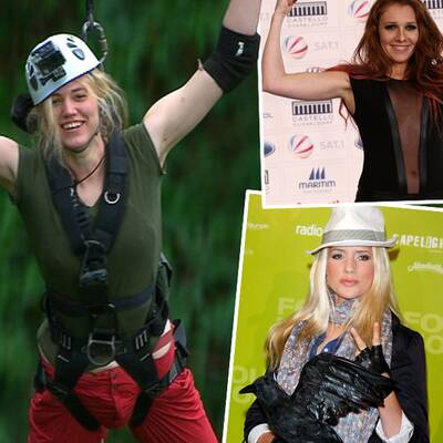 Das Dschungel-Prüfungsranking