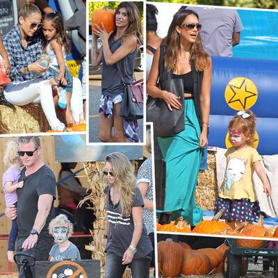 Stars auf der Kürbisjagd