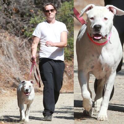 Joaquin Phoenix & sein Hund