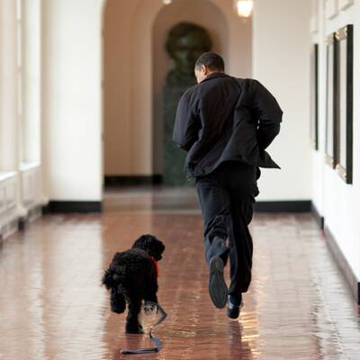 Die besten Schnappschüsse von US-Präsident Obama