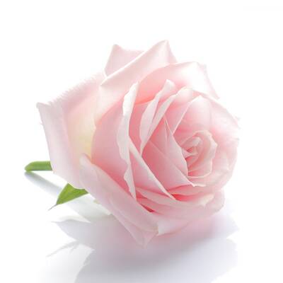 Intensiv pflegende Karottenmaske