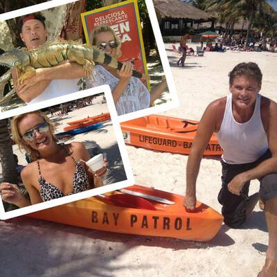 The Hoff macht Ferien