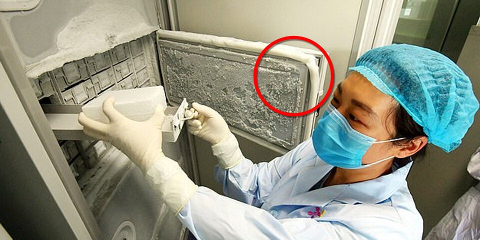 Institut für Virologie Wuhan Viren-Labor