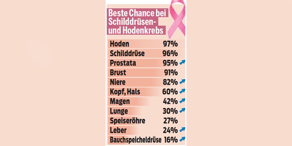 Der große Krebs-Report