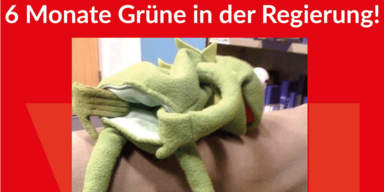 Gr&uuml;ne KErmit SP&Ouml; Posting