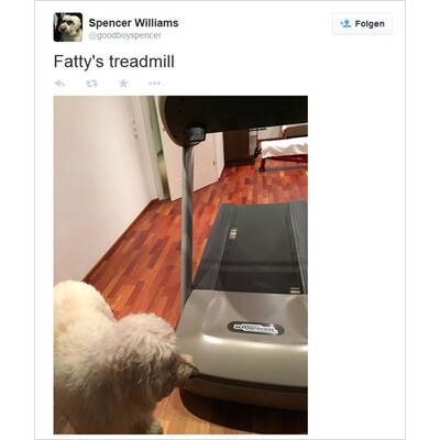 Robbie Williams' Postings aus Österreich