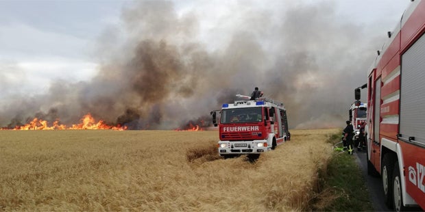 Brand Ebenfurth Feld