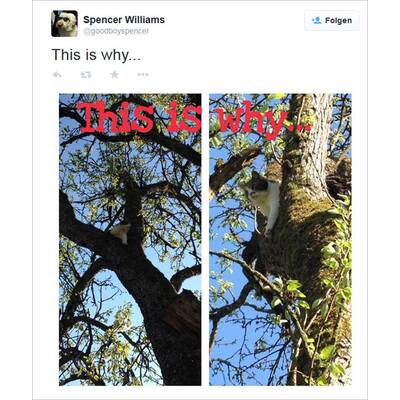 Robbie Williams' Postings aus Österreich