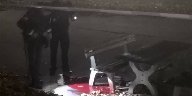 Mord in Wiener Nobel-Bezirk: Verdächtiger stellt sich