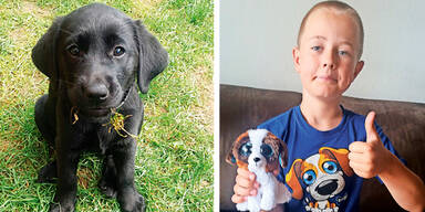 Christoph und sein Super-Welpe