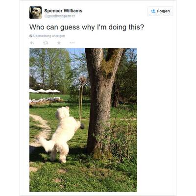 Robbie Williams' Postings aus Österreich