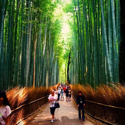 Arnold Schwarzeneggers Söhne Patrick & Christopher in Japan