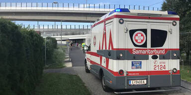 Br&uuml;cke zu niedrig: Rettung kam nicht weiter