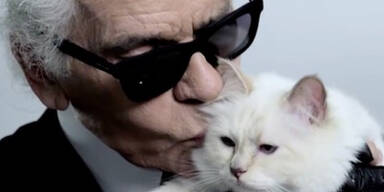 Lagerfeld Choupette Katze