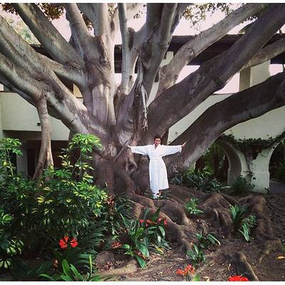 Die Kardashians im Thailand-Urlaub