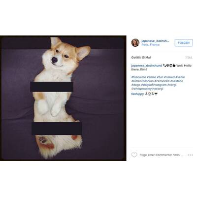 Kim Kardashian: So lacht das Netz über ihr Nackt-Selfie