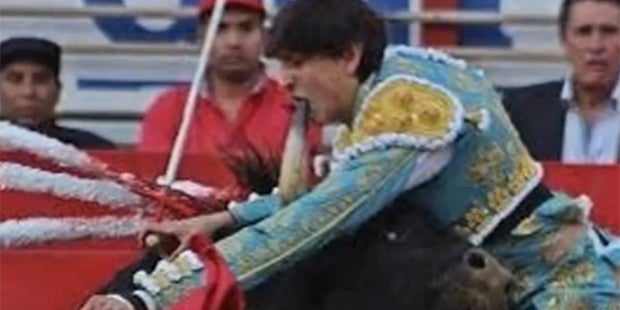 So brutal rächen sich Stiere an ihren Peinigern