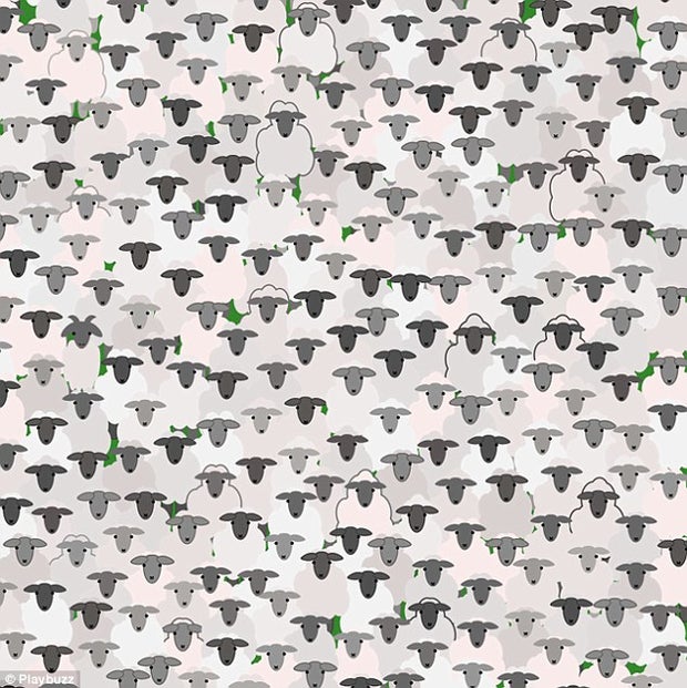 Rätsel: Wo versteckt sich die Ziege?