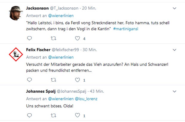 Schwan auf Gleisen legt Wiener U2 lahm