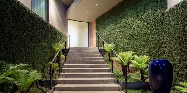 Tesla Chef Musk Villa