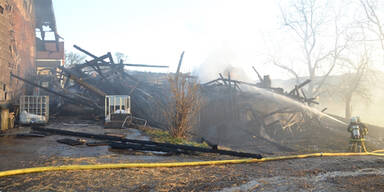 16 Stiere tot bei Brand auf Bauernhof