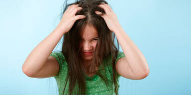 Das hilft am besten gegen L&auml;use