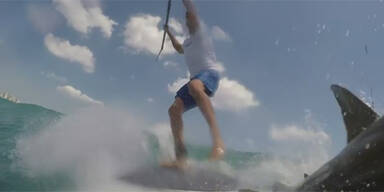 Video: Hai attackiert Stehpaddler