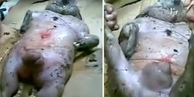 Schleimiges Monster schockt Indonesien