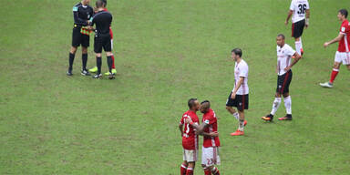 Bayern: R&auml;tselraten um "kranken Rasen"