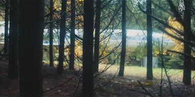 In den W&auml;ldern der USA versteckt sich eine Boeing &ndash; Sie glauben nicht, was sich darin verbirgt