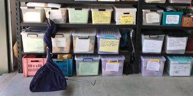 Auf diesem Foto lauert ein t&ouml;dlicher J&auml;ger