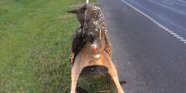 K&auml;nguru Ouzo Australien