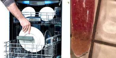 Peinlich: Mutter findet DAS im Geschirrsp&uuml;ler