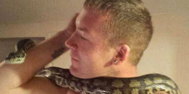 Python-Liebhaber von Tier erw&uuml;rgt