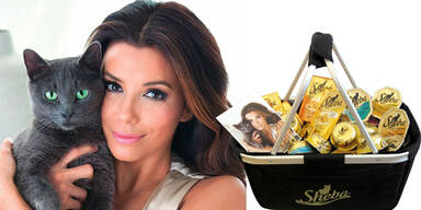 Handsignierte Sheba-Goodies gewinnen